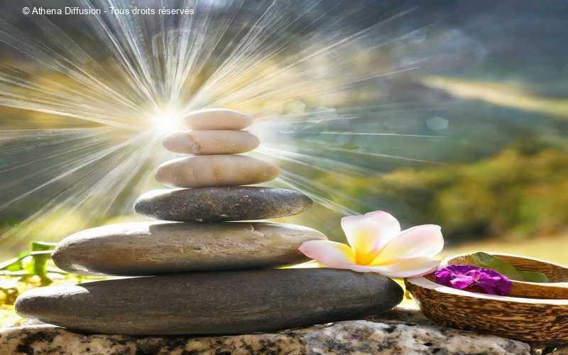 plante médicinale, e-cours-en-ligne.com, médecine alternative, déséquilibres, soins holistiques